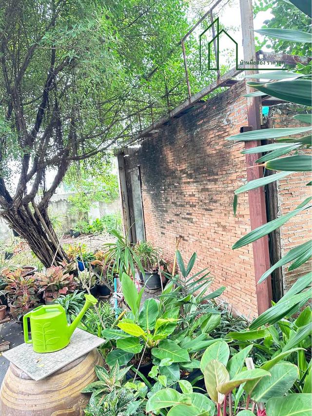 บ้านสร้างเอง 81 ตรว. ซ.ร่มประดู่ บางพลี  3