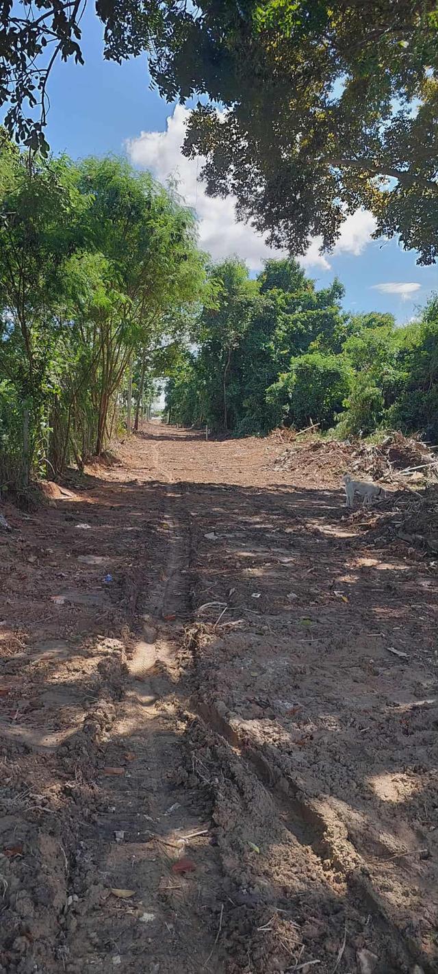 ขายที่ดินนาจอมเทียนฝั่งทะเลเนื้อที่ 80 ตรว. ใกล้หาด600เมตร ใกล้ถ.สุขุมวิท3-150เมตร อ.สัตหีบ จ.ชลบุรี 1