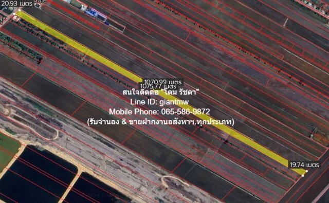 ที่ดิน ขายที่ดินทุ่งนาติดถนน ต.คลองเปร็ง อ.เมืองฉะเชิงเทรา 13-0-24.9 ไร่ 6.25 ล้านบาท area 5225 ตร.ว. 6250000 B. ใกล้ สถ 1