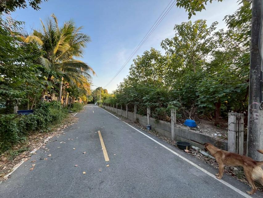 ขายที่ดินเปล่า เทศบาล3 ซอยทวี ตำบลทับกวาง อำเภอแก่งคอย จังหวัดสระบุรี
