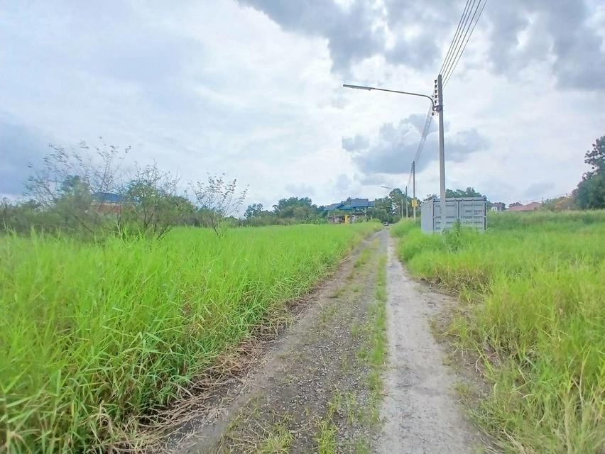 ขายที่ดินเปล่า ซอยหมู่บ้านบ้านสวนรีสอร์ท ถนนเลียบคลอง5 ตะวันตก 3