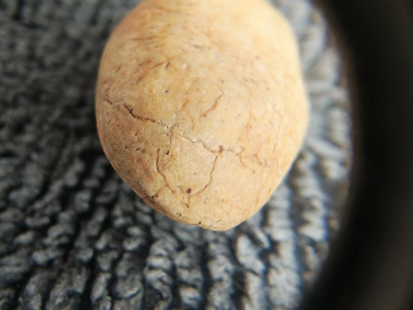 สมเด็จวัดพลับ พิมพ์พุงป่องใหญ่ รูปที่ 6