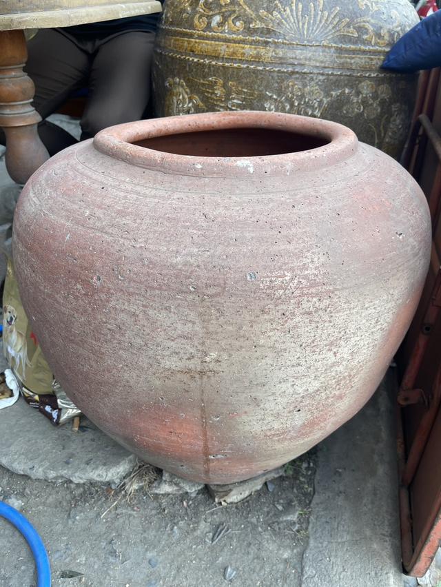 โอ่งแดงอยุธยา ใบใหญ่ ขนาด50ซม โอ่งดินเผาโบราณ 2