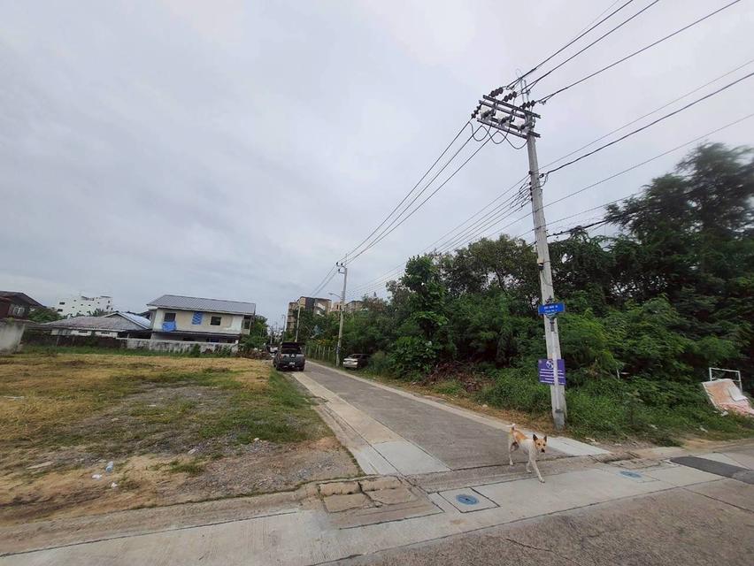 Vายด่วน ที่ดินใกล้โรบินสันศรีสมาน 200 ตารางวา ติดถนนคอนกรีตสาธารณะ ถมแล้ว ซอย จุฬา 3 อ.ปากเกร็ด จ.นนทบุรี 2