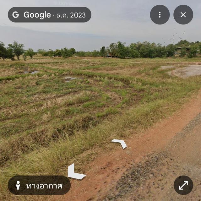 8ไร่43ตรว. เส้น290 นครราชสีมา อ.โนนสูง 3