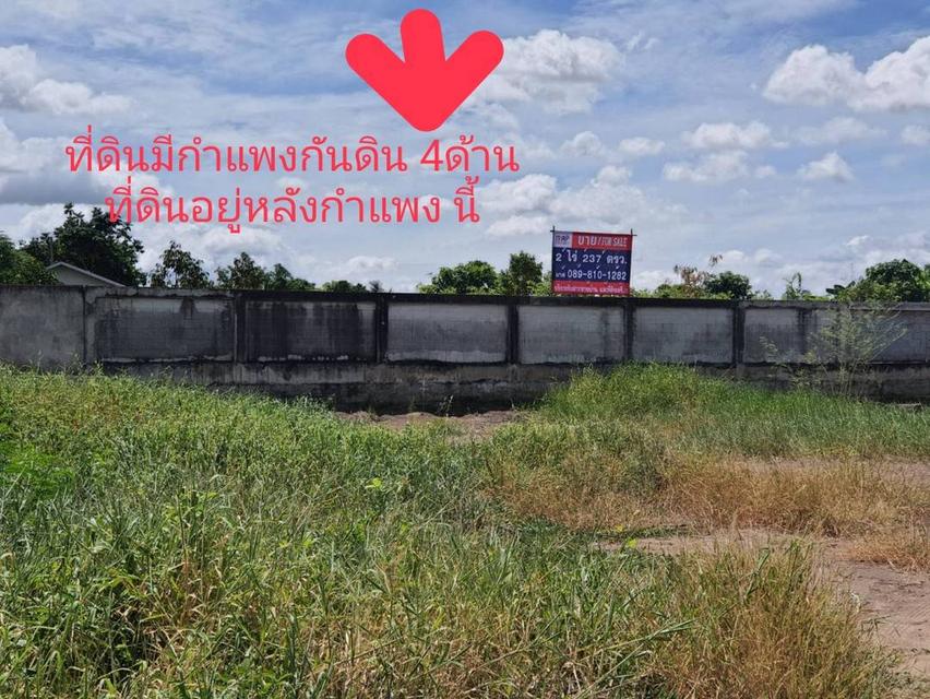 ขายที่ดิน 2 ไร่ 237 ตรว. ถมแล้วสูงกว่าถนน 1 ม. มีกำแพงปูนกันดิน 4 ด้าน 8