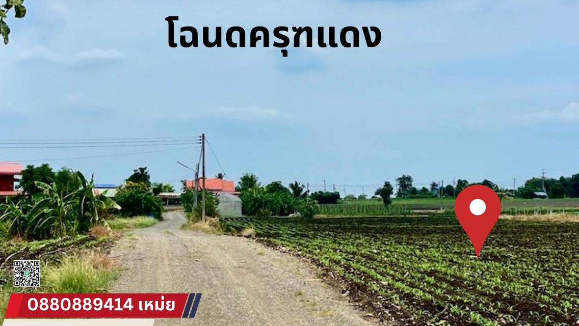 ที่ดินหนองม่วง จ. ลพบุรี 6