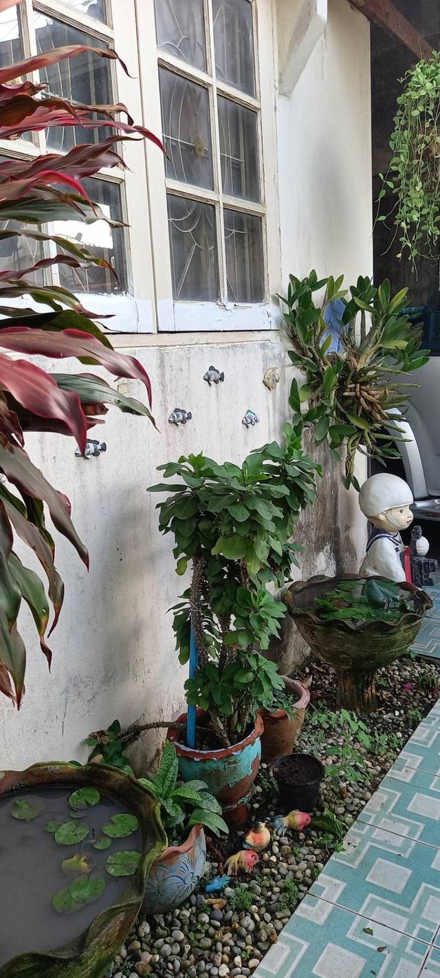 บ้านเดี่ยวพร้อมที่ดิน เจ้าของขายเอง ราคาถูกต้องการขายด่วน 2