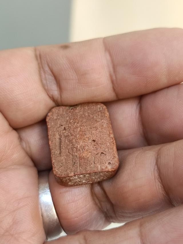 พระหลวงพ่อปาน พิมพ์ขี่นก 6