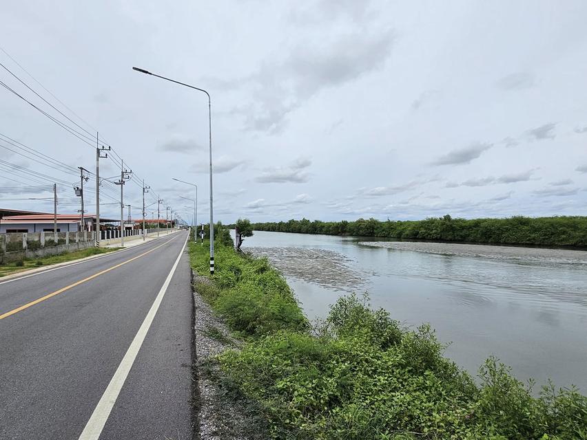 ประกาศขายที่ดิน สมุทรสาคร 44 ไร่ 3 งาน 68 ตารางวา 4