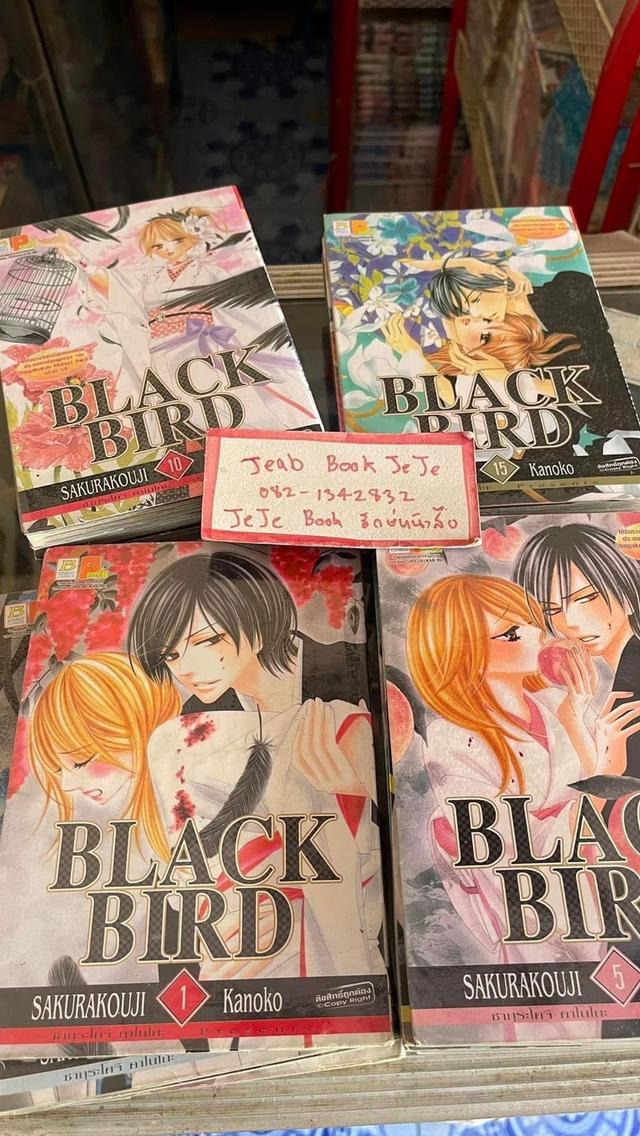หนังสือการ์ตูน BLACK BIRD 1-18 จบ