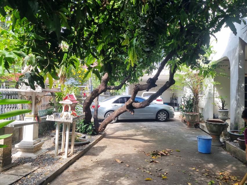 ขายบ้านเดี่ยวหลังมุม 2 ชั้น ขนาด 111 ตรว. ติดถนนพหลโยธิน ขายตามสภาพ แขวงอนุสาวรีย์ กรุงเทพฯ 7