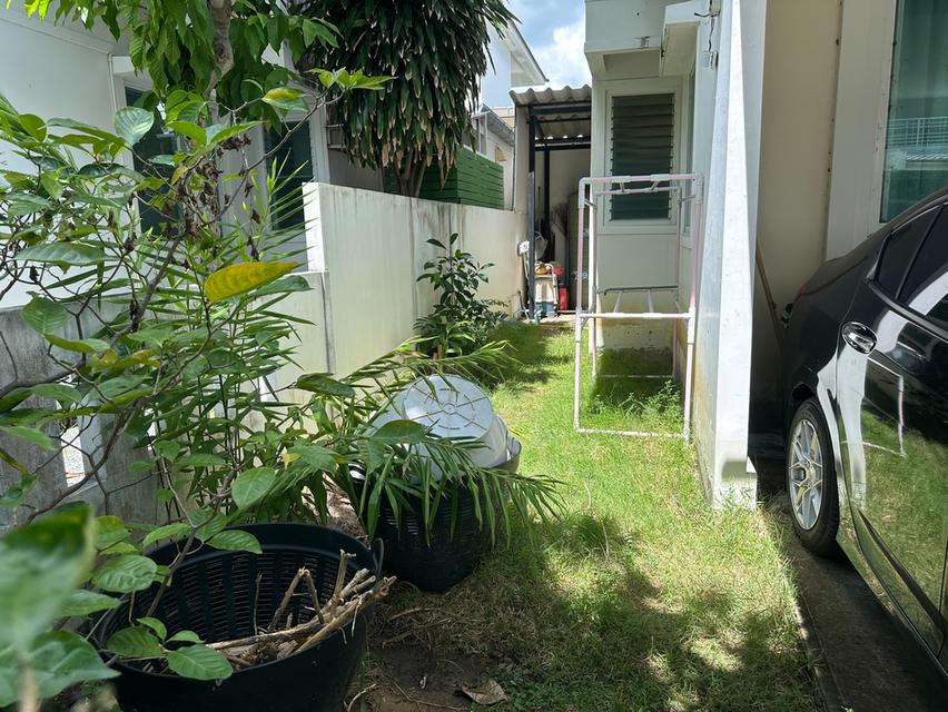 ขายบ้านแฝดโฮมเพลส วงแหวน - รัตนาธิเบศร์ บางใหญ่ พร้อมเข้าอยู่ ทำเลดี ใกล้รถไฟฟ้าสายสีม่วง 12