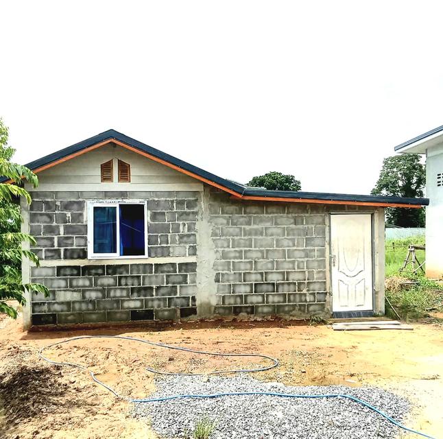 📌🏡ขายบ้านพร้อมที่ดิน💸ลดเหลือเพียง 1.2 ล้านบาท✋🏻จะมีใครสนใจไมค่ะในเขตอำเภอแก้งคร้อ บ้านศรีพัฒนา🤳081-842-7655 [แม่ควร] 3