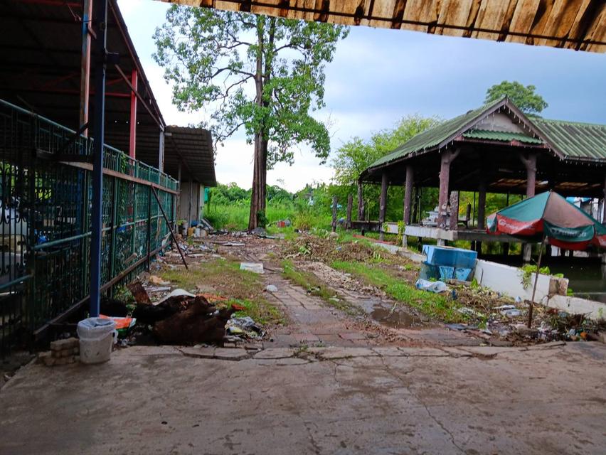 ที่ดิน4ไร่ให้เช่า 1