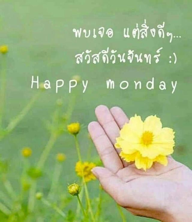 ที่ดิน2แปลง เจ้าของขายเอง น้ำไม่ท่วมสำหรับผู้ที่มองหาที่ดินหลังเกษียณ 7