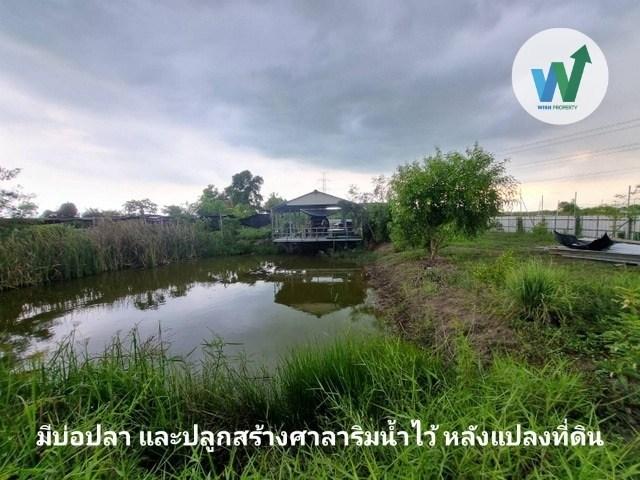ที่ดินเลียบคลอง 13 หนองจอก แปลงมุม ถมแล้ว สวยตรงปก ไม่ต้องเสียเงินถมเพิ่ม หนองจอก 1ไร่ 62 ตร.ว 6