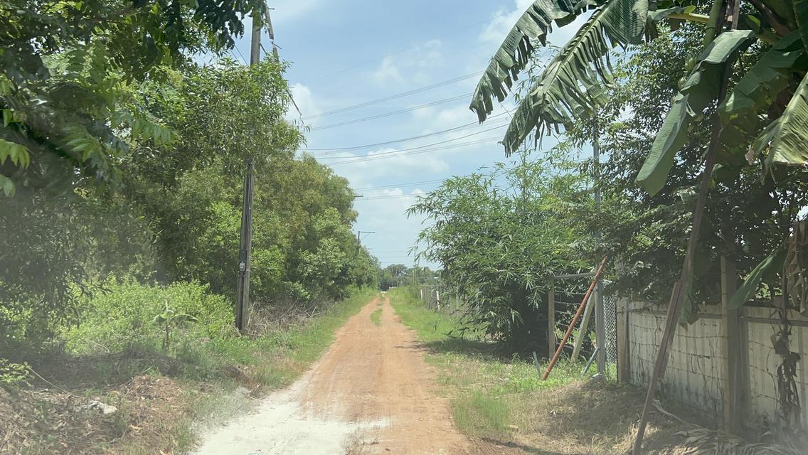 ขายที่ดิน หนองจอก 2 ไร่ 6