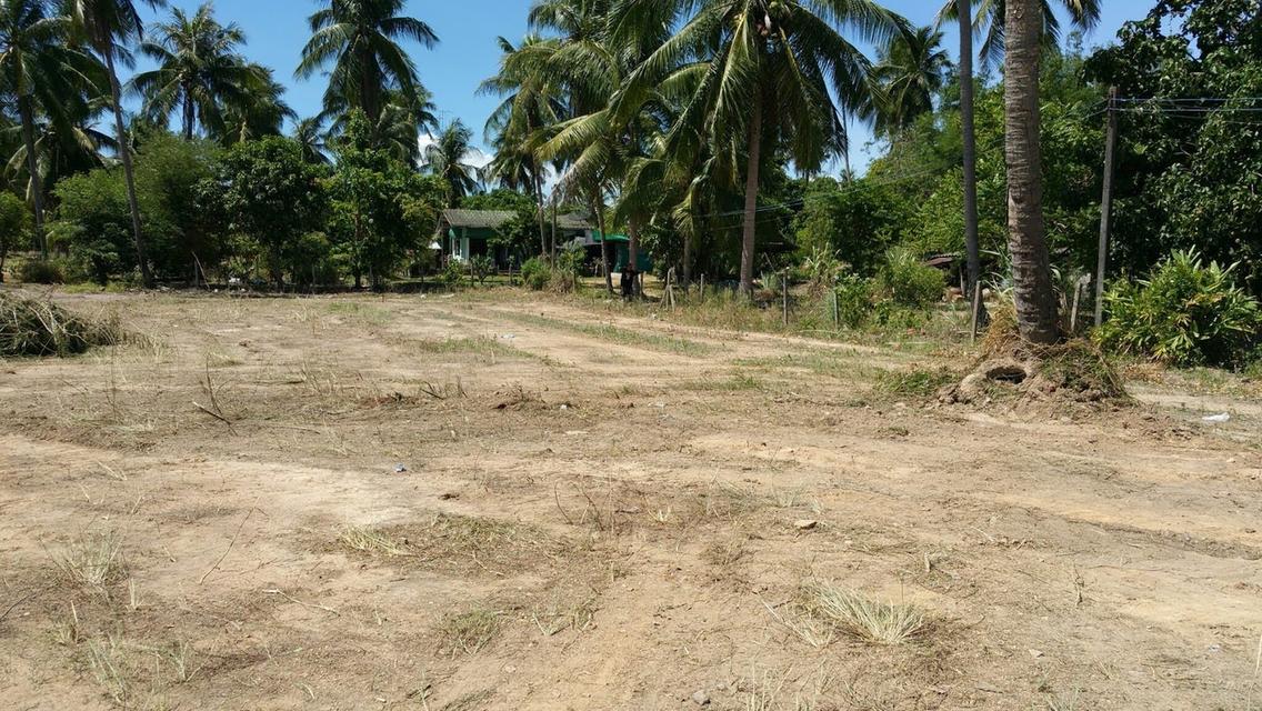 ที่ดินติดอ่างเก็บน้ำหนองค้อ 1ไร่ 3งาน 74ตรว 4