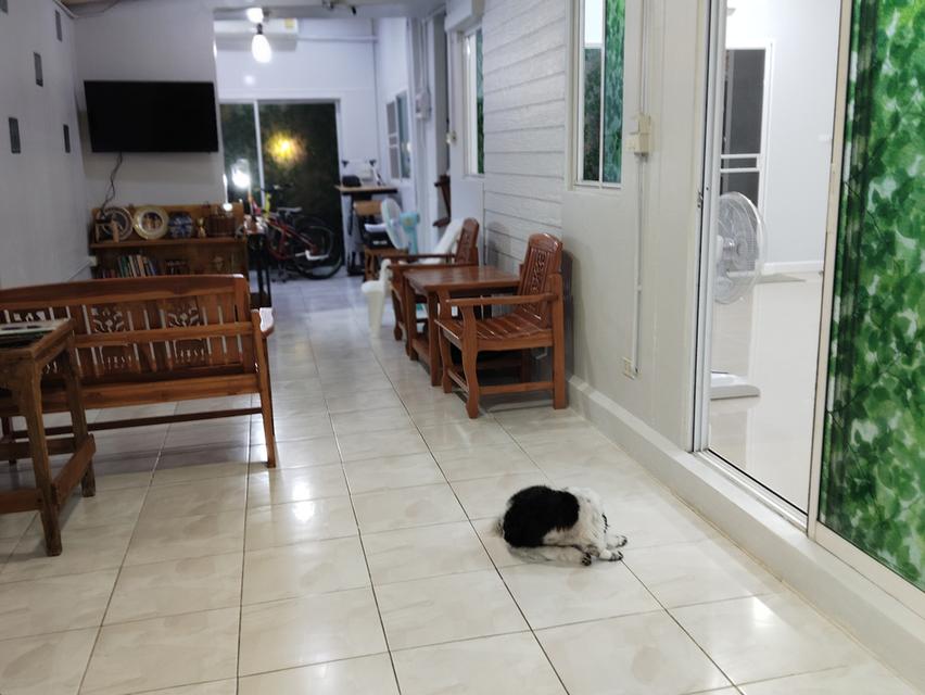 ขายบ้านเดี่ยว 4 นอน 3 น้ำ 3 จอด พูฤกษาวิลเลจ6 บางขุนี้เทียน-ชายทะเล 12