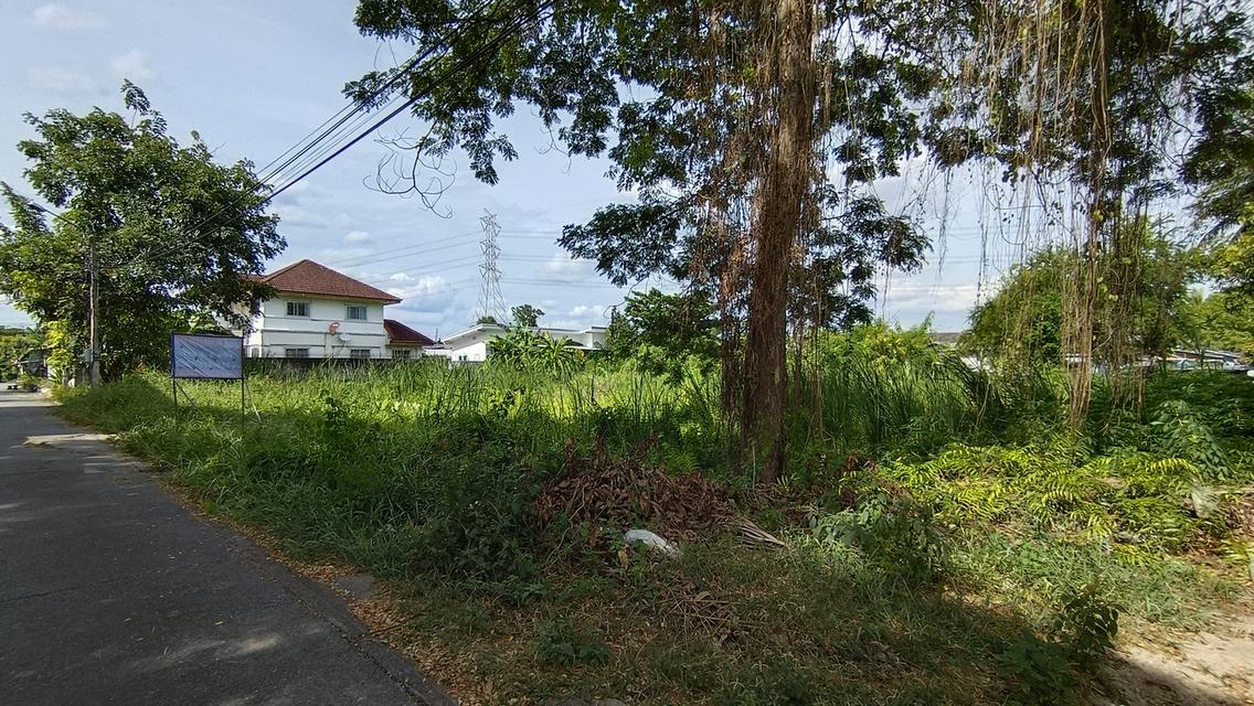 ขาย ที่ดินแปลงสวยสำหรับนักลงทุนและผู้ที่กำลังมองหาที่ดินเปล่า