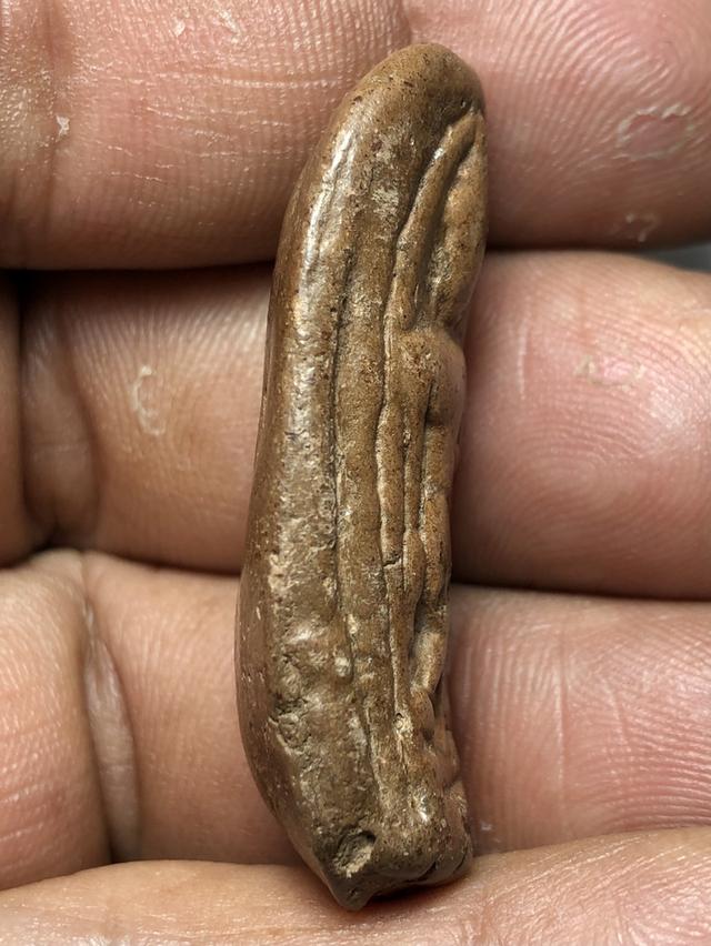 พระลีลาเม็ดขนุนกรุวัดบรมธาตุ จังหวัดกำแพงเพชร รูปที่ 4