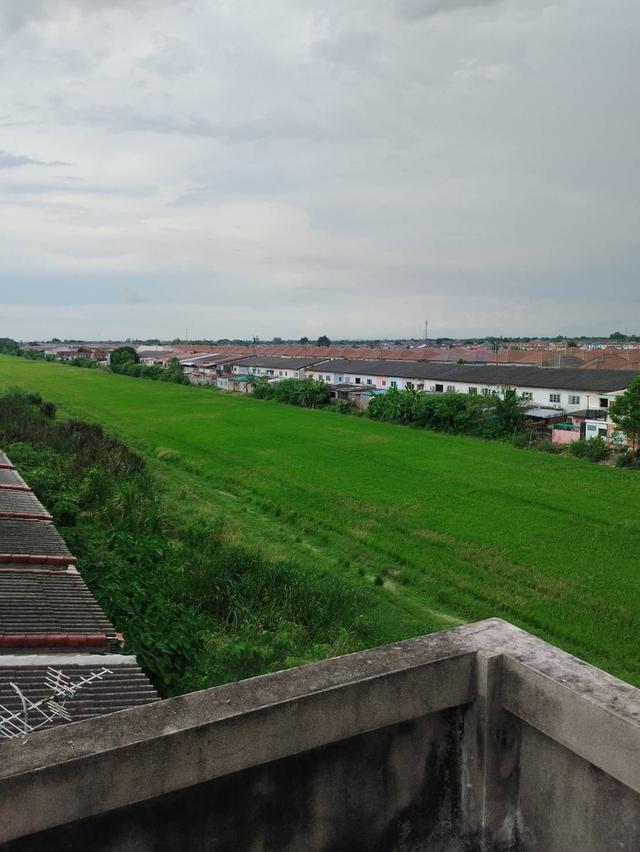 ขายอาคารพาณิชย์ 3 ชั้น สังฆสันติสุข 32 กทม 20 ตรว 8