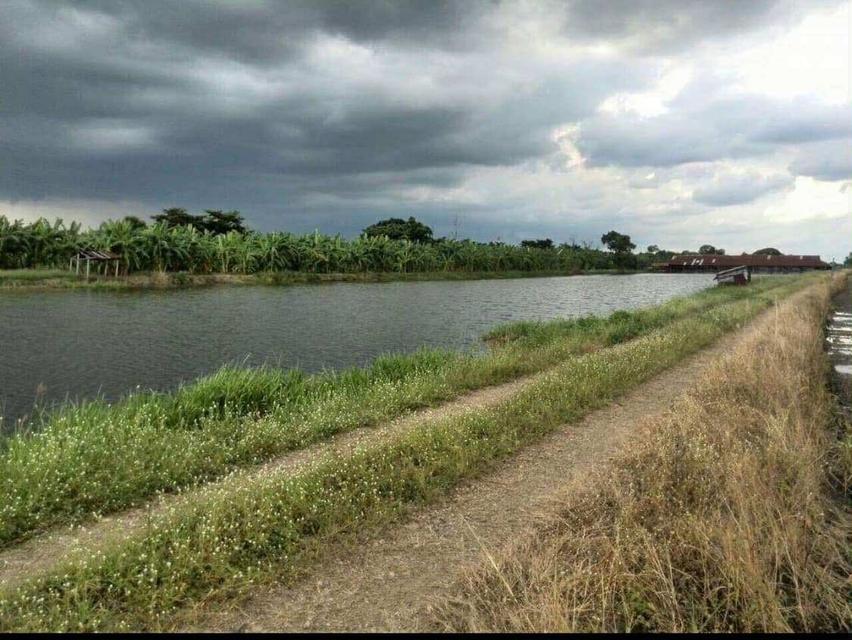 ที่ดินทำเลเหมาะสำหรับการลงทุนและพัฒนา 4