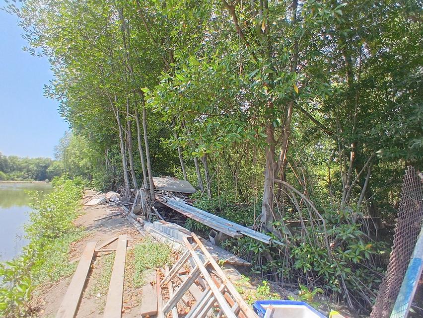 ขายที่ดิน 4 ไร่ 29 ตารางวา ซอยเทศบาลคลองด่าน 8/5 ตำบลคลองด่าน อำเภอบางบ่อ จังหวัดสมุทรปราการ 3