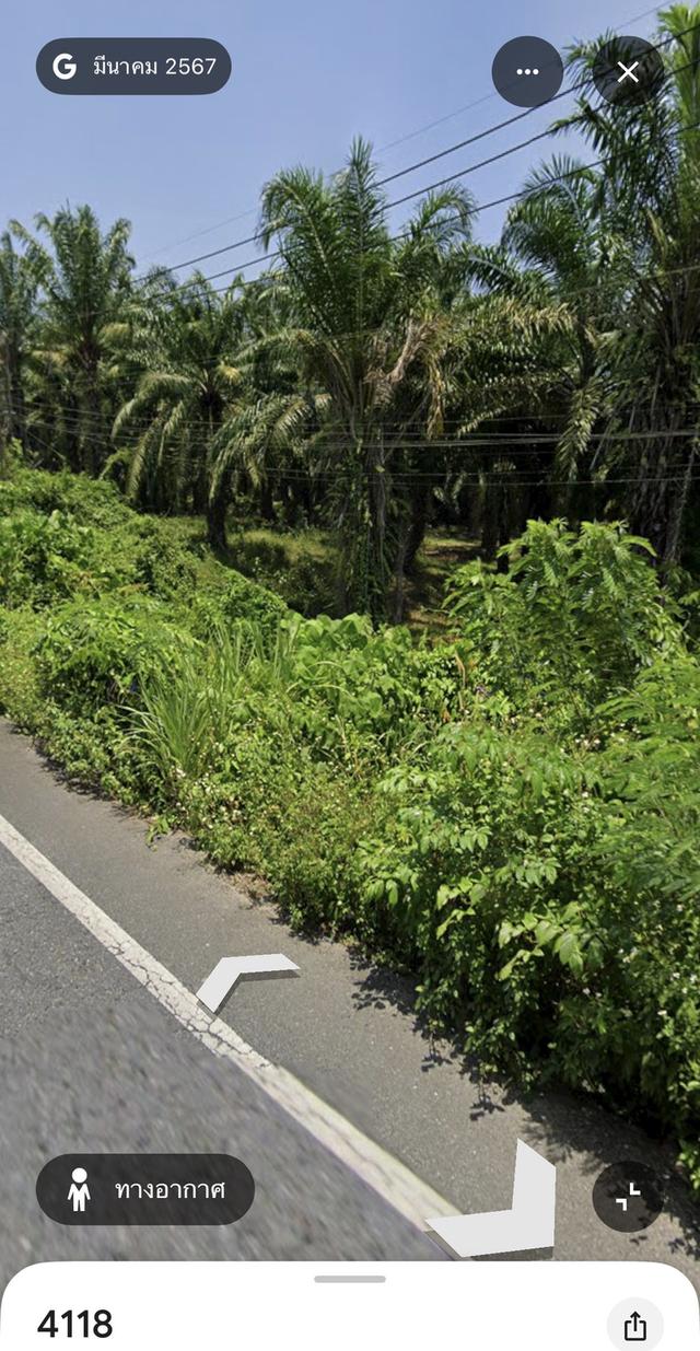 ที่ดินสวยๆ 13 ไร่กว่า จังหวัดพังงา 7