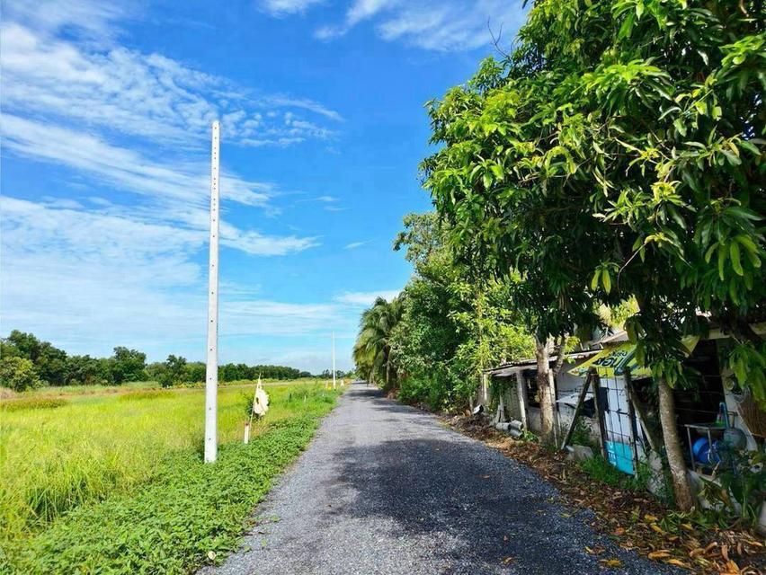 ขายที่ดิน 1 ไร่ บึงบา–หนองเสือ จ.ปทุมธานีบรรยากาศบ้านสวน มีทางเลือกผ่อนตรงเจ้าของ 36 งวด 10