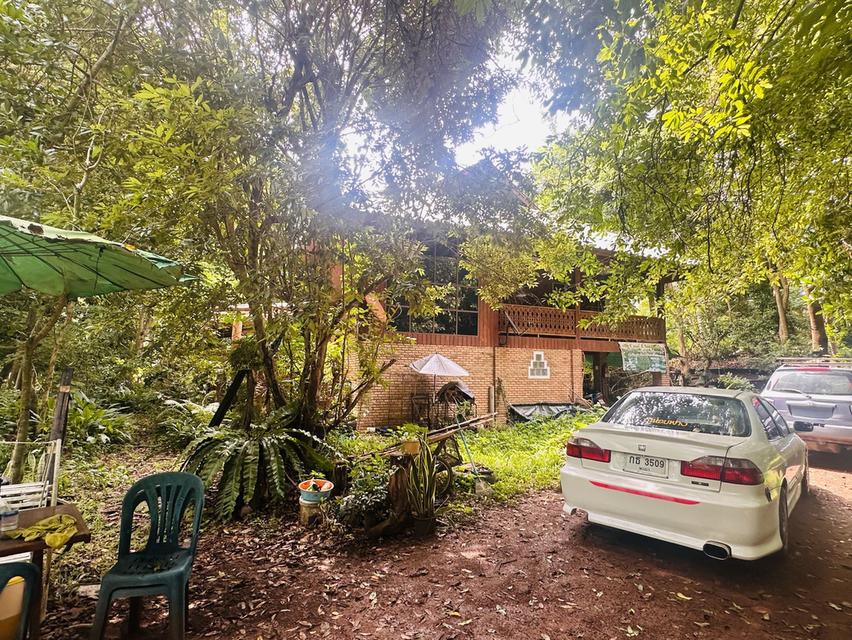บ้านและที่ดิน ลำปาง ที่ติดลำธาร 3