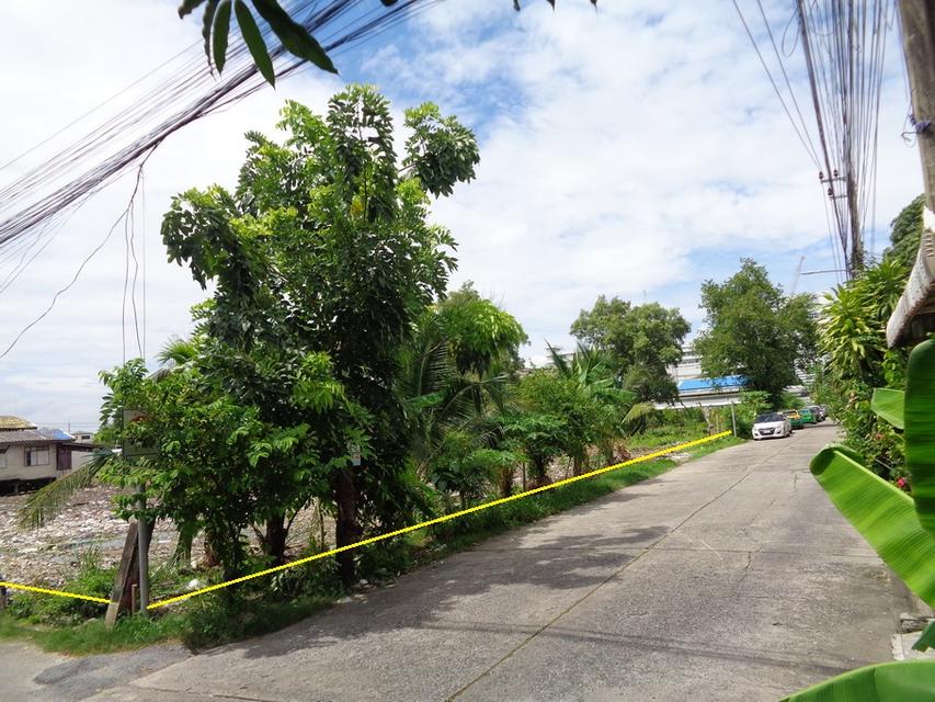 🚩 ขาย ที่ดิน 1 ไร่ แปลงหัวมุม ถนนจักกะพาก ตรงข้ามโรงพยาบาลสมุทรปราการ เข้าซอยเพียง 180 เมตร 13