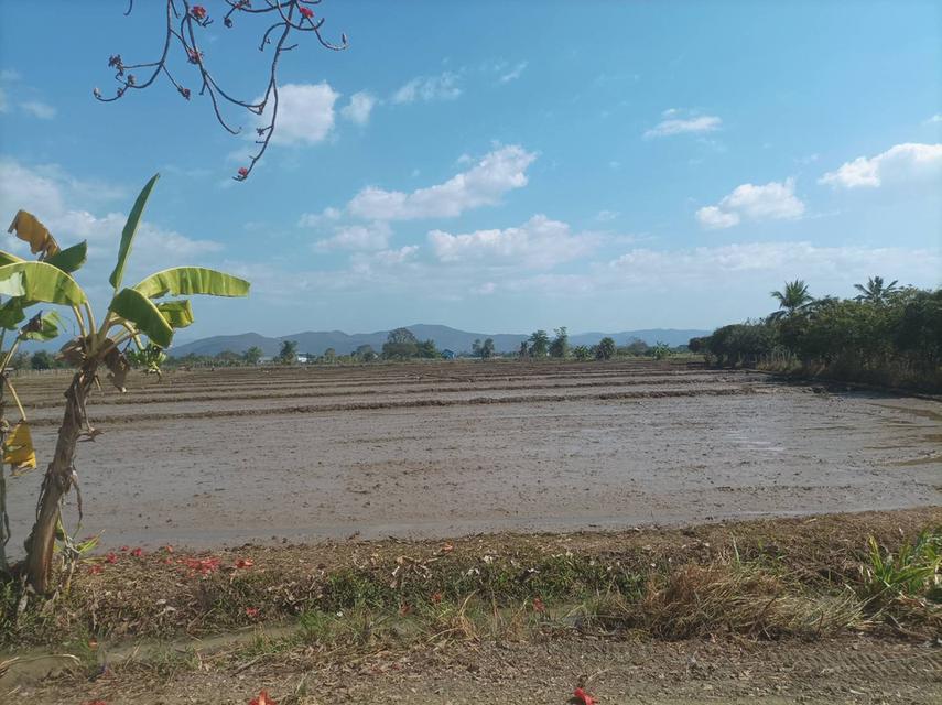 ขายที่ดิน 5ไร่3งาน ต.ป่าป้อง อ.ดอยสะเก็ด จ.เชียงใหม่ 7