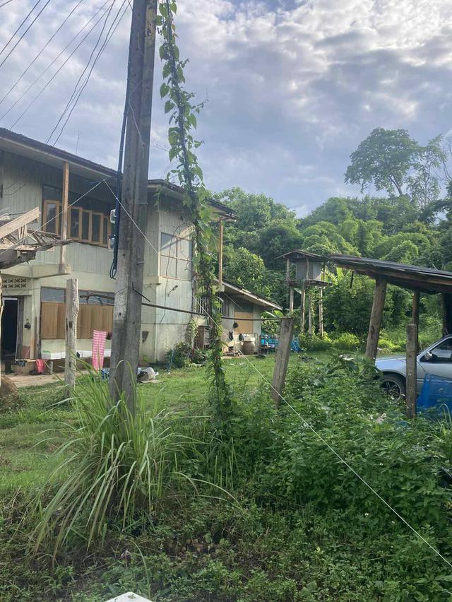 ขายบ้านพร้อมที่ดิน  เนื้อที่ 2ไร่ 2 งาน 74 ตรว ค่ะ 🏠 🏡บ้านห้วยไร่ อำเภอเด่นชัย จังหวัดแพร่ 8