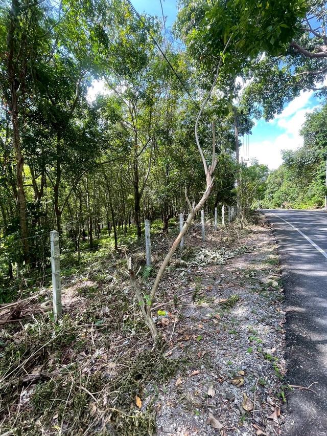 ที่ดินทำเลดี เขาขาด จังหวัดภูเก็ต 4