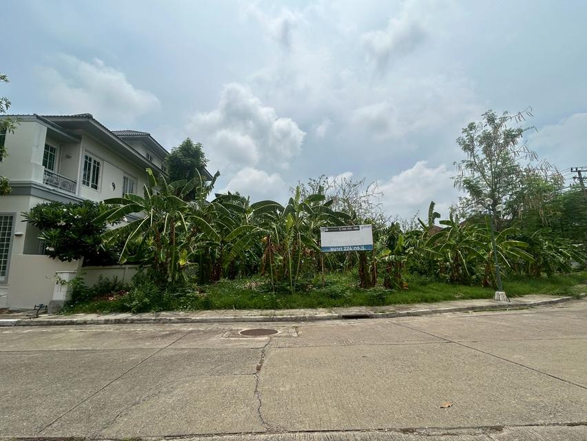 ที่ดินจัดสรร 1