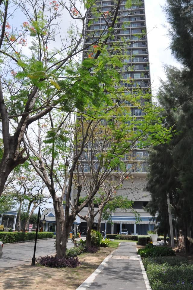 Chapter One Modern Dutch 14