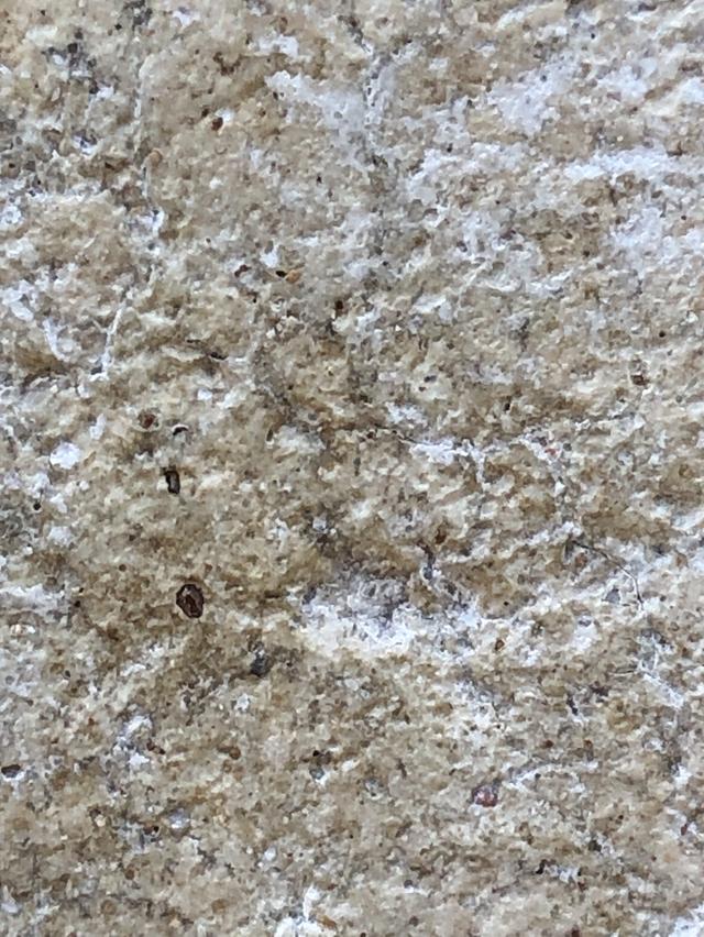 พระสมเด็จวัดระฆังพิมพ์ใหญ่ รูปที่ 6