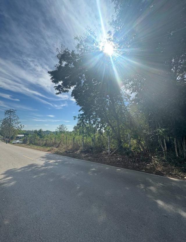 ขายที่ดินเปล่าติดถนน นิคมพัฒนา อำเภอเมืองลำปาง 7