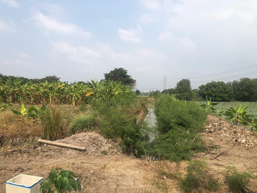 ขายที่ดินสวยรมน้ำคลองบางใหญ่ จังหวัดนนทบุรี  จำนวน 3 ไร่ 15