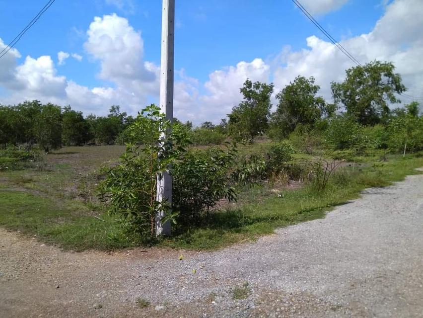 ขายที่ดินโฉนดครุฑแดง 4 ไร่ 5