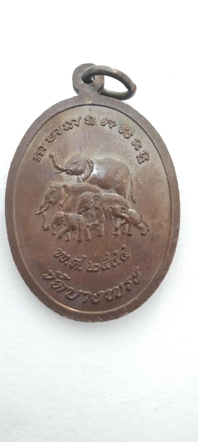 เหรียญรูปไข่ หลวงพ่อเปิ่น หลังช้าง วัดบางพระ พ.ศ. 2544 รูปที่ 3