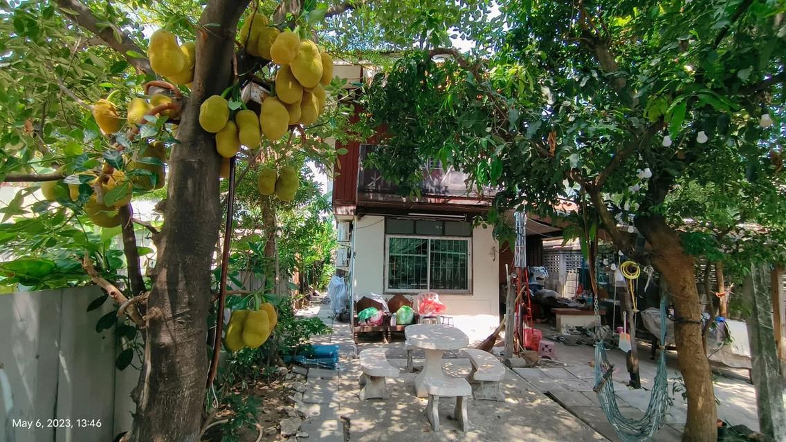 ขายบ้านถนนลาดพร้าว ใกล้รถไฟฟ้าสายสีเหลือง 3