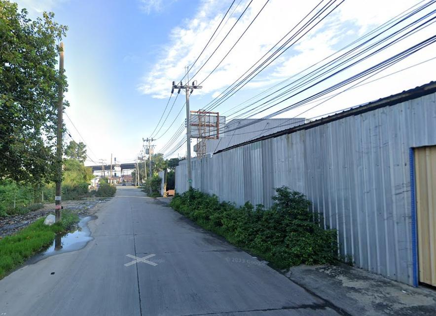 ขายที่ดินบางพลีสีม่วงพร้อมสิ่งปลูกสร้าง 1 ไร่ ติดถนนบางนา-ตราดเข้าซอยเพียง50เมตร บางเสาธง จ.สมุทรปราการ 2