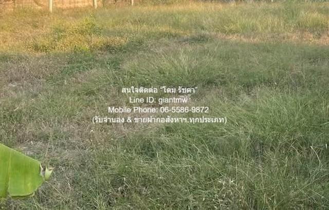 พื้นที่ดิน ขายที่ดินเปล่าถมแล้ว และมีรั้วแล้ว (ใกล้ตลาดเวิลด์มาร์เก็ต) 100 ตร.ว. ราคา 3 ล้านบาท 3000000 THAI BAHT ราคานี 8