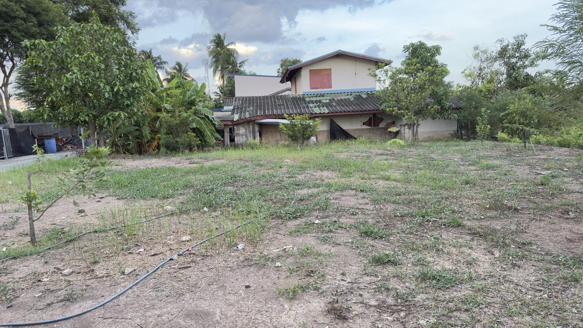 ขายที่ดินเปล่า 130 ตรม. เพชรเกษม110 1