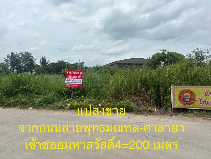 ขายที่ดิน 1ไร่ ซอยยิ่งเจริญ ศาลกวนอูศาลายา ซอยมหาสวัสดิ์ 4 ต.มหาสวัสดิ์ อ.พุทธมณฑล จ.นครปฐม 6