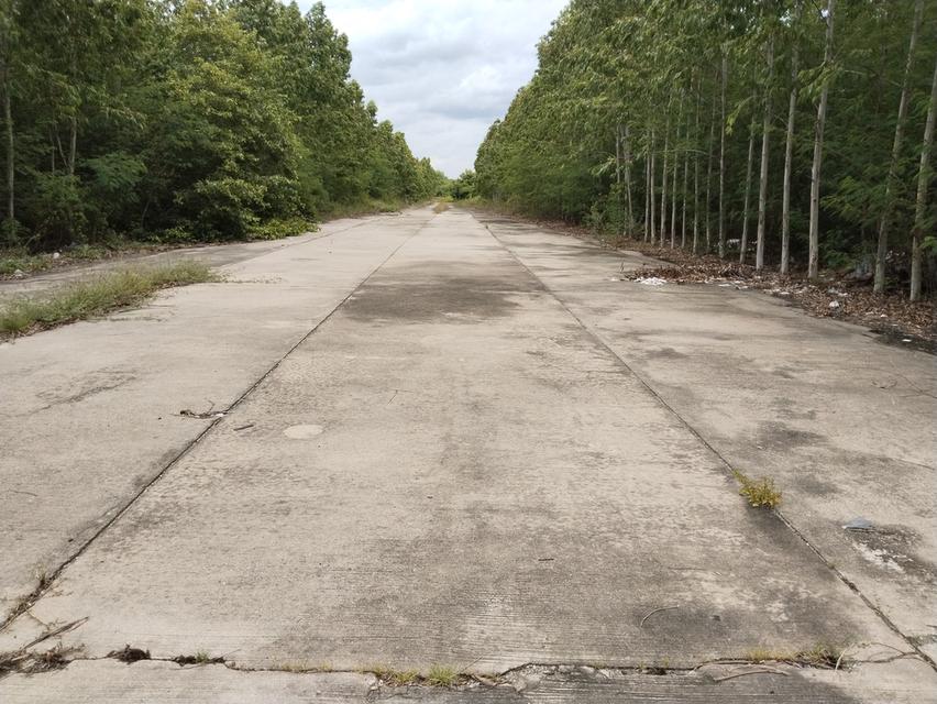 Fitted Land on taparak road km.18 near international airport  available for all residents and businesses  4