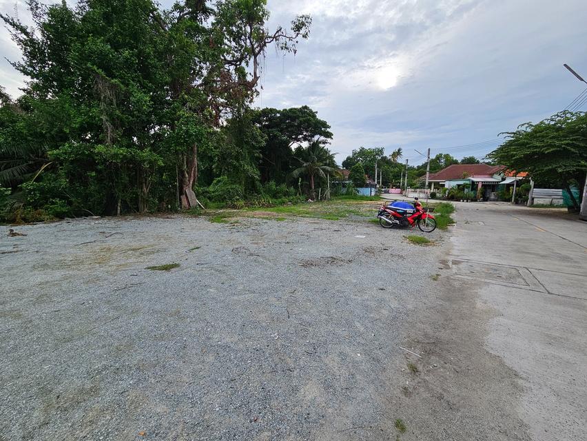 ขายที่ดินถมแล้วบ้านปึก อ่างศิลา 67 ตรว. ซอยวัดเตาปูน มิตรสัมพันธ์12 ใกล้โรงพยาบาลเอกชล2-1กม. เมืองชลบุรี 5